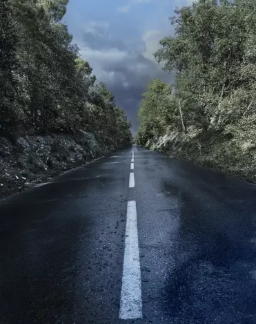 A wet road on a cloudy automn day