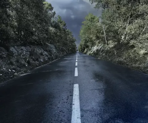 A wet road on a cloudy automn day